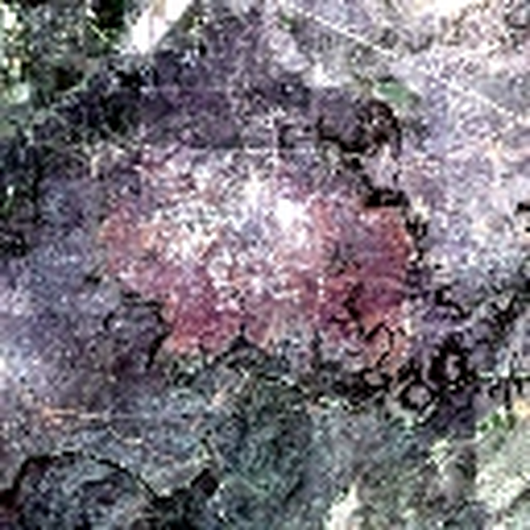 Real HLS sample 0163 satellite image